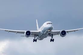 Fright or Flight