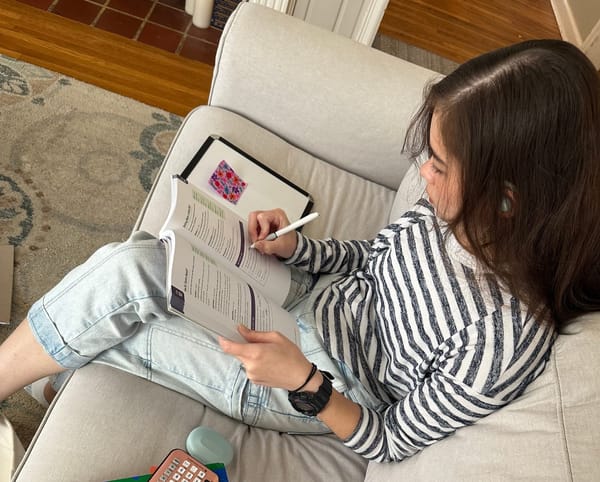 Homeschool or Traditional?